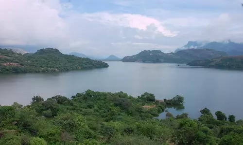 உடுமலை அமராவதி அணை நீர்மட்டம் ஒரே நாளில் 6 அடி உயர்வு-  பஞ்சலிங்க அருவியில் குளிக்க தடை நீடிப்பு