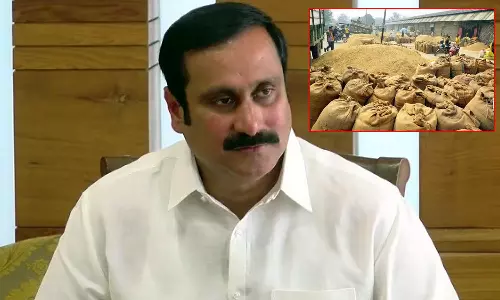 ரூ.800 கோடி நெல் கொள்முதல் மோசடி: தனியார் நிறுவனத்தை அனுமதித்தது யார்?- சி.பி.ஐ. விசாரணைக்கு உத்தரவிட அன்புமணி வலியுறுத்தல்