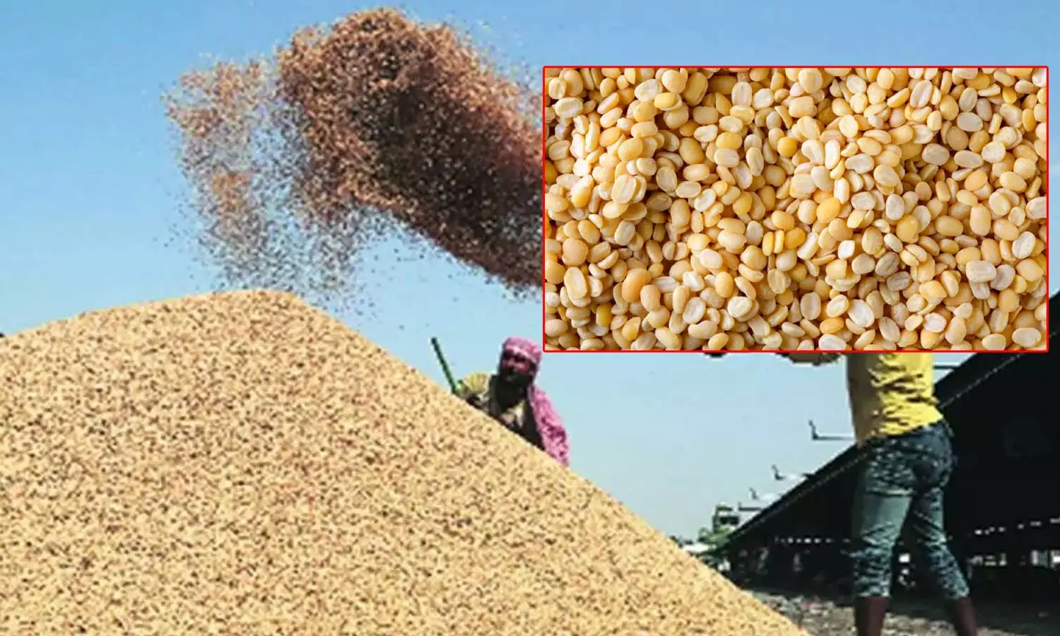 நெல் உள்பட 14 பயிர்களுக்கான குறைந்தபட்ச ஆதரவு விலையை உயர்த்தி வழங்க மத்திய அமைச்சரவை ஒப்புதல்