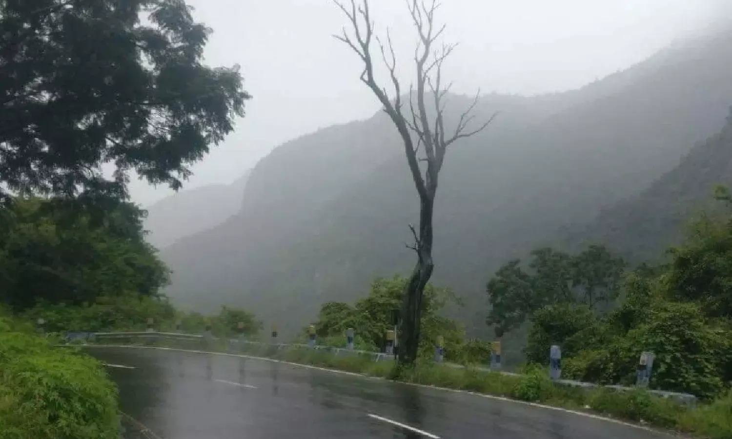 நீலகிரி மாவட்டத்திற்கு மீண்டும் ரெட் அலர்ட்- சுற்றுலா தலங்கள் மூடல்