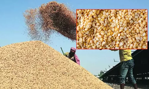 நெல் உள்பட 14 பயிர்களுக்கான குறைந்தபட்ச ஆதரவு விலையை உயர்த்தி வழங்க மத்திய அமைச்சரவை ஒப்புதல்