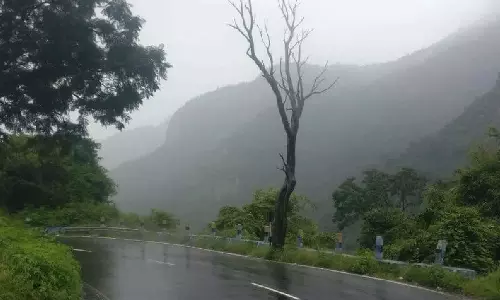 நீலகிரி மாவட்டத்திற்கு மீண்டும் ரெட் அலர்ட்- சுற்றுலா தலங்கள் மூடல்