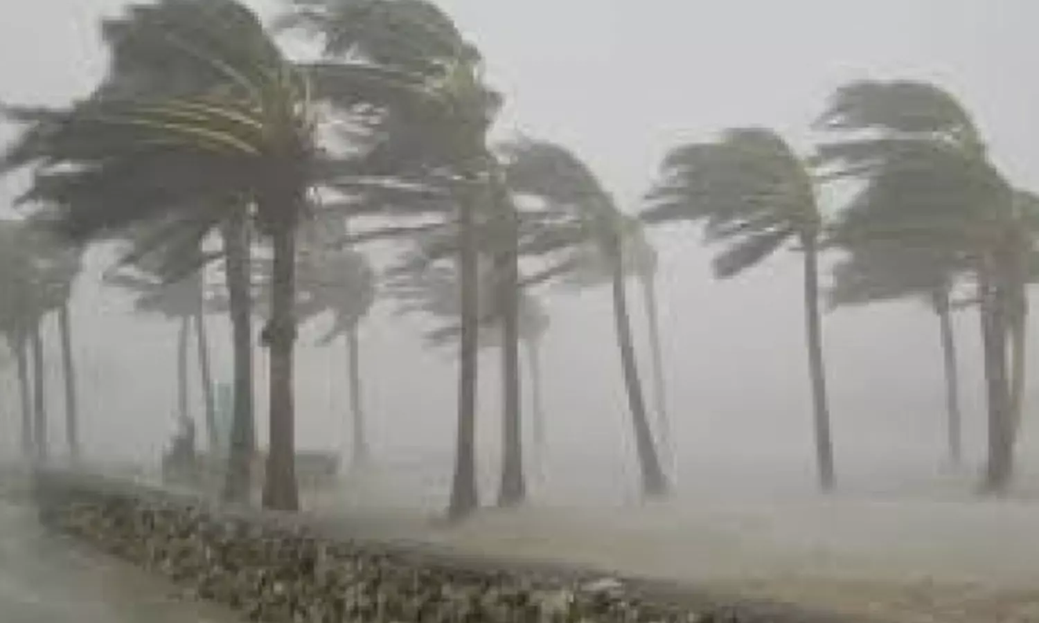 அடுத்த 5 ஆண்டுகளில் உலக வெப்பநிலை புதிய உச்சம் தொடும்- அதிக மழைப்பொழிவு, சூறாவளி ஏற்பட வாய்ப்பு