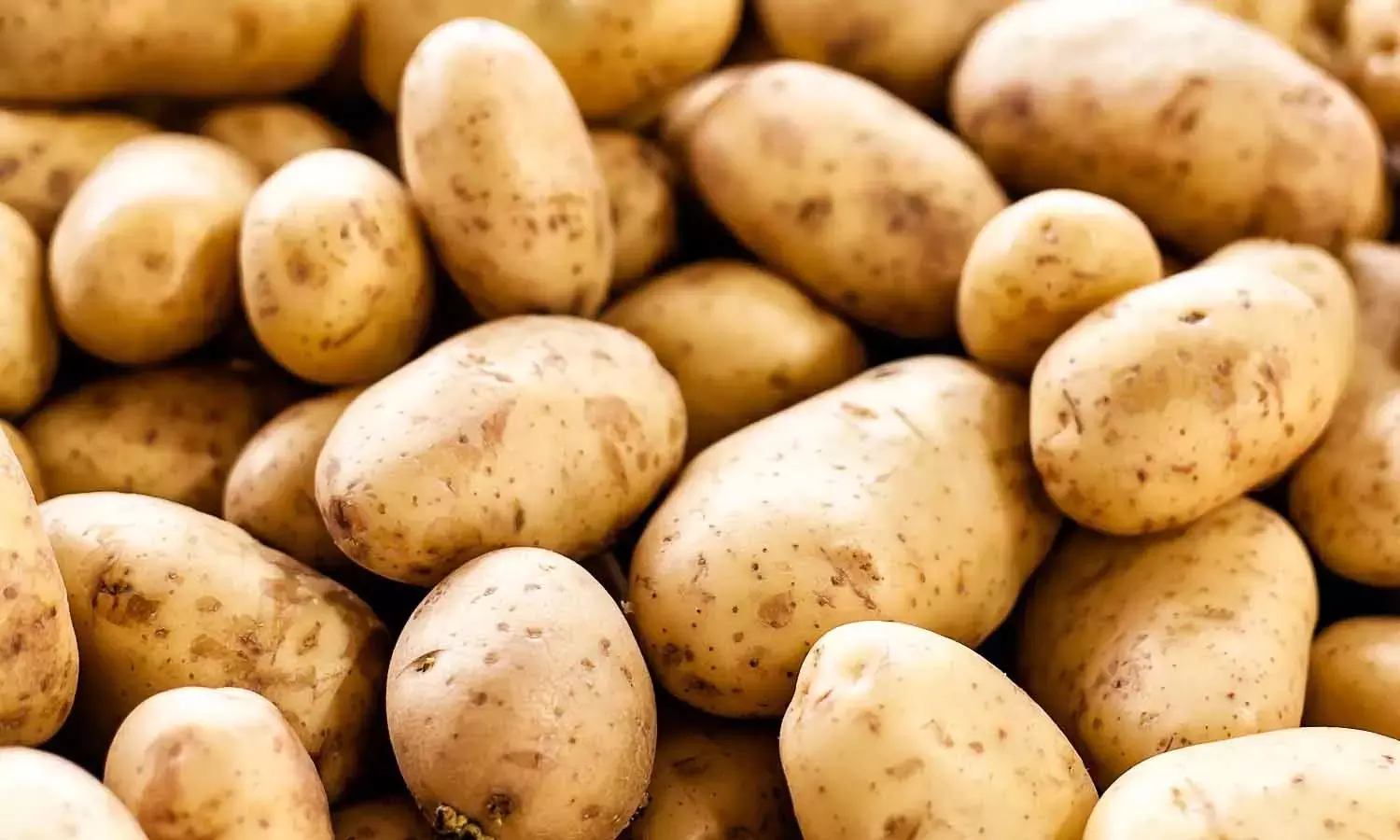 இன்று சர்வதேச உருளைக் கிழங்கு தினம்- உருளைக்கிழங்கு சாப்பிடலாமா? சாப்பிடக் கூடாதா? இன்று சர்வதேச உருளைக் கிழங்கு தினம்- உருளைக்கிழங்கு சாப்பிடலாமா? சாப்பிடக் கூடாதா?