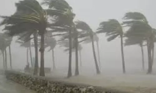 அடுத்த 5 ஆண்டுகளில் உலக வெப்பநிலை புதிய உச்சம் தொடும்- அதிக மழைப்பொழிவு, சூறாவளி ஏற்பட வாய்ப்பு