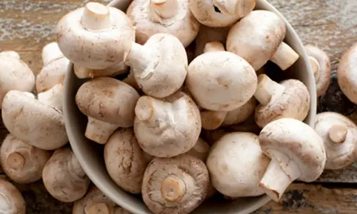 காளான் சாப்பிடுவது நல்லதா?