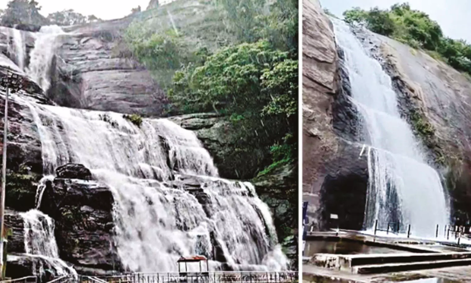 குற்றாலத்தில் மீண்டும் கனமழை: அருவிகளில் குளிக்க 6-வது நாளாக தடை