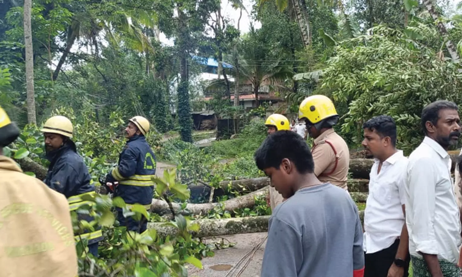 குமரியில் வீசிய சூறைக்காற்றிற்கு ஒரே நாளில் மரக்கிளைகள் முறிந்து விழுந்ததில் 150 மின்கம்பங்கள் சேதம்