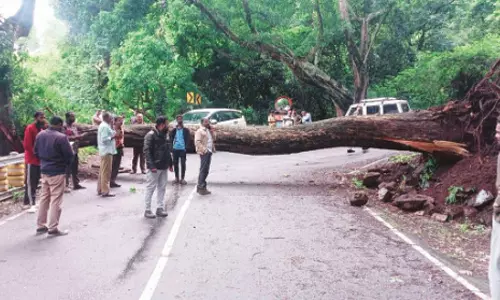 நீலகிரியில் தொடர் மழை: மக்களின் இயல்பு வாழ்க்கை பாதிப்பு