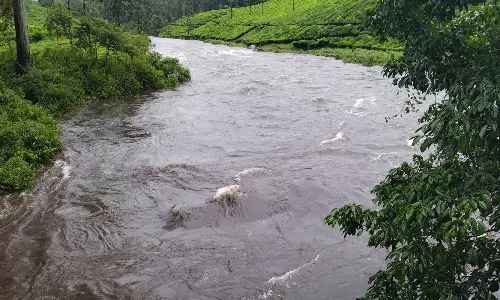 வால்பாறையை மிரட்டும் கனமழை: மின் கம்பங்கள் மீது மரம் விழுந்ததால் இருளில் மூழ்கிய 2 கிராமங்கள்