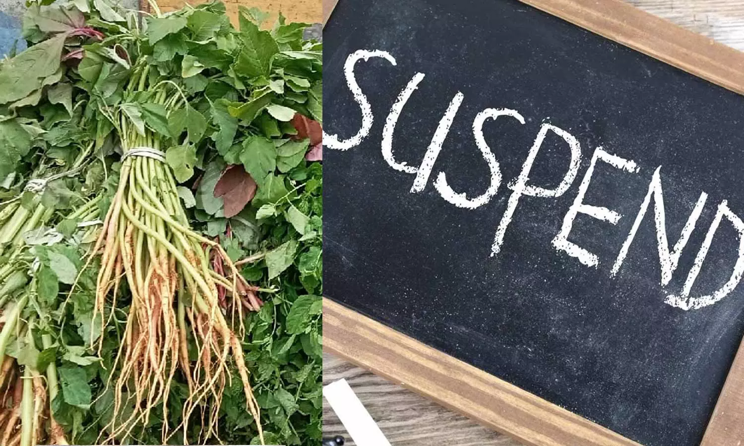 தென்காசி ஆஸ்பத்திரியில் கீரை கொள்முதலில் மோசடி: இன்று பணி ஓய்வுபெற இருந்த அரசு பெண் அதிகாரி சஸ்பெண்டு