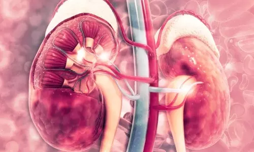 சிறுநீரகப் பாதிப்பு எதனால் ஏற்படுகிறது?