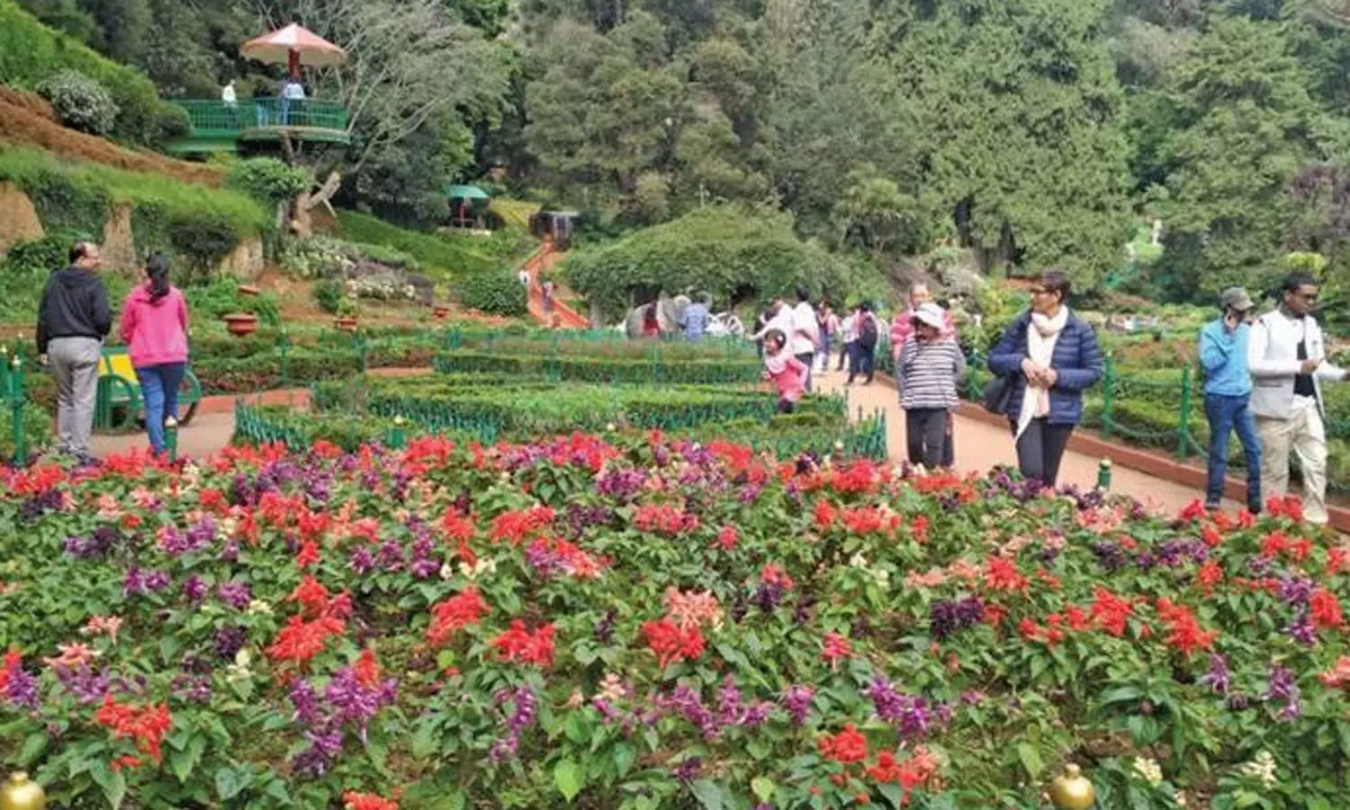 நீலகிரியில் கோடை சீசன் நிறைவு- 2 மாதங்களில் 6 லட்சம் பேர் வருகை நீலகிரியில் கோடை சீசன் நிறைவு- 2 மாதங்களில் 6 லட்சம் பேர் வருகை