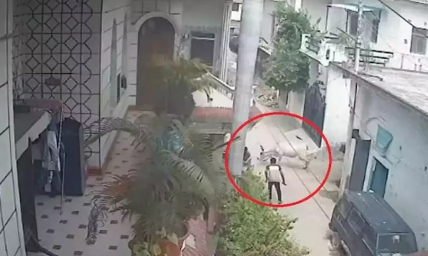 தெருவில் நடந்து சென்றவரை கொம்பினால் முட்டி மிதித்துக் கொன்ற காளை மாடு - அதிர்ச்சியூட்டும் வீடியோ தெருவில் நடந்து சென்றவரை கொம்பினால் முட்டி மிதித்துக் கொன்ற காளை மாடு - அதிர்ச்சியூட்டும் வீடியோ