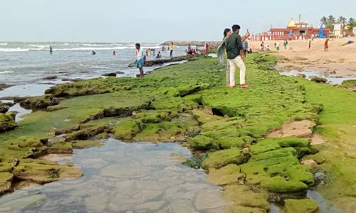 திருச்செந்தூரில் கடல் 60 அடி தூரம் உள்வாங்கியது