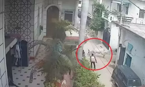 தெருவில் நடந்து  சென்றவரை கொம்பினால் முட்டி மிதித்துக் கொன்ற காளை மாடு - அதிர்ச்சியூட்டும் வீடியோ