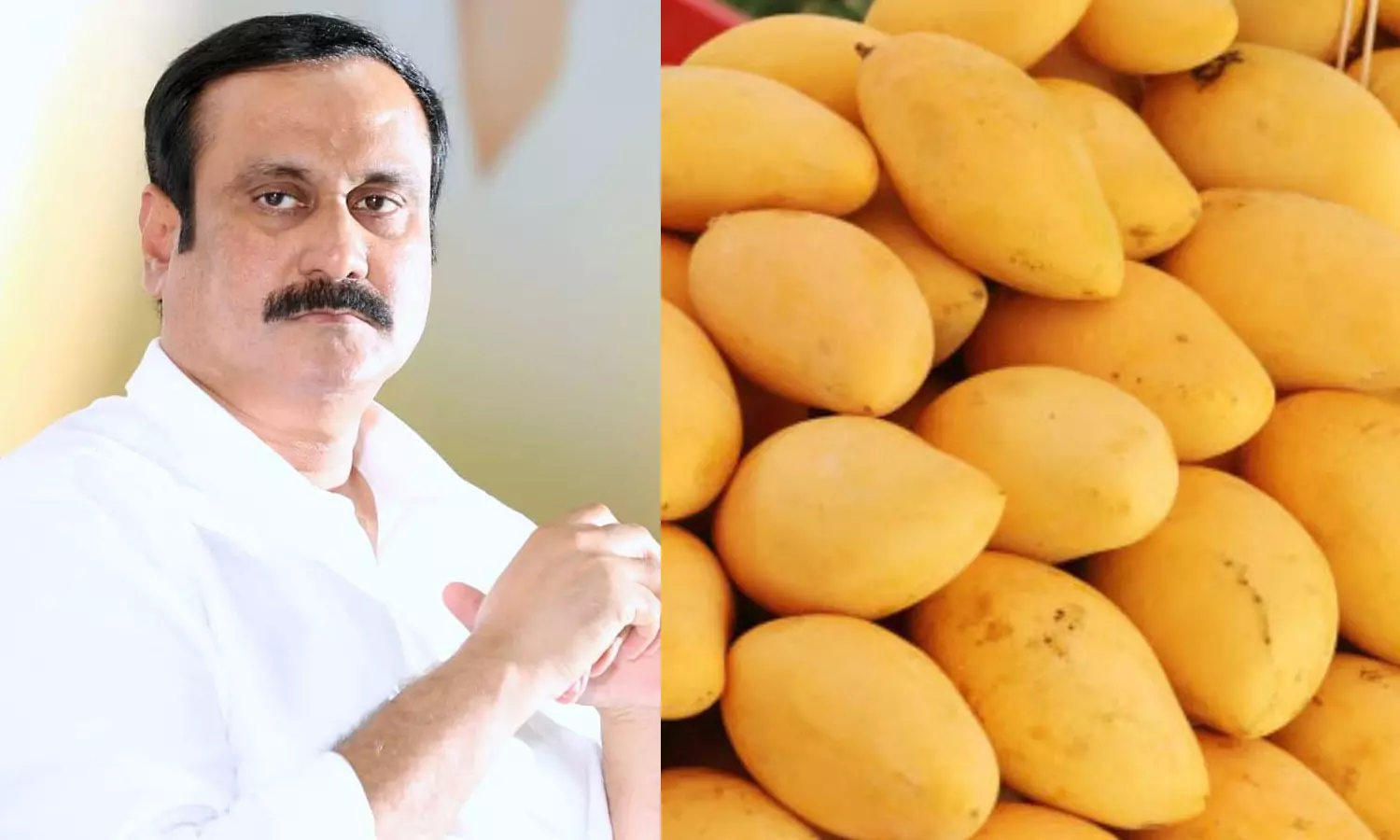 மாம்பழம் விலை வீழ்ச்சியால் பாதிக்கப்பட்ட விவசாயிகளுக்கு இழப்பீடு வழங்க வேண்டும்- அன்புமணி ராமதாஸ்