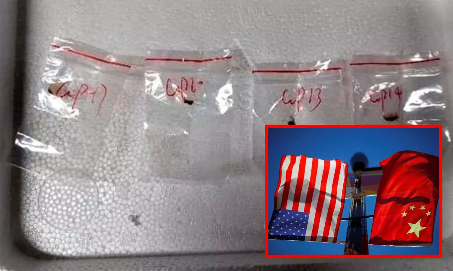 விவசாயத்தை அழிக்க திட்டம்: அமெரிக்காவிற்குள் அபாயகர கிருமியை கடத்திய சீன ஆராய்ச்சியாளர்கள் கைது