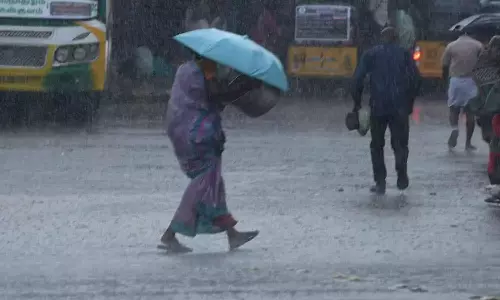 நீலகிரியில் மீண்டும் சூறாவளி காற்றுடன் மழை - லவ்டேல் பகுதியில் மரம் விழுந்ததால் போக்குவரத்து பாதிப்பு