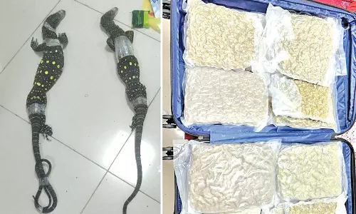 திருச்சி விமான நிலையத்தில் ரூ.9.82 கோடி மதிப்பிலான போதைப்பொருள், அரியவகை உடும்புகள் சிக்கின