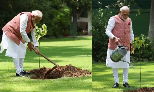 உலக சுற்றுச்சூழல் தினம்: சிந்தூர் மரக்கன்றுகளை நட்டார் பிரதமர் மோடி