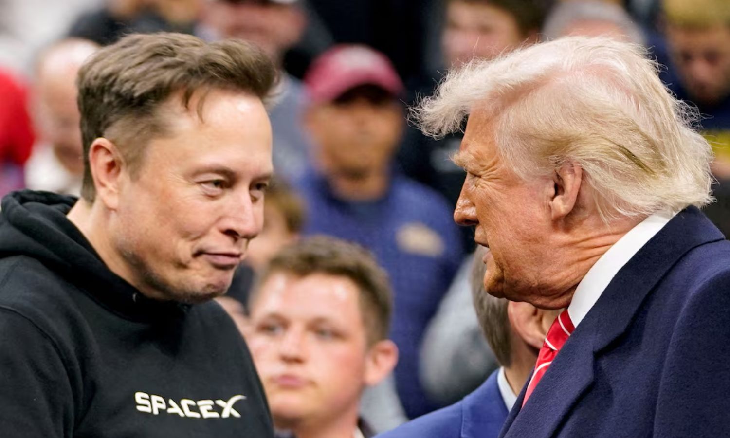 தீவிர ஆதரவு முதல் கடும் எதிர்ப்பு வரை.. டிரம்ப் - எலான் மஸ்க் இடையே வெடித்த பகையின் பின்னணி என்ன? தீவிர ஆதரவு முதல் கடும் எதிர்ப்பு வரை.. டிரம்ப் - எலான் மஸ்க் இடையே வெடித்த பகையின் பின்னணி என்ன?