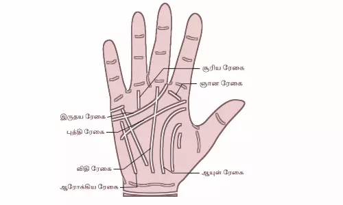 கைரேகை சாஸ்திரம் கூறும் வாழ்வியல் பலன்கள்