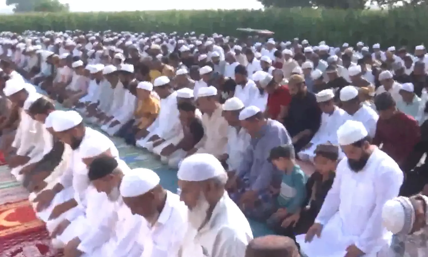 தமிழகம் முழுவதும் பக்ரீத் பண்டிகை கோலாகல கொண்டாட்டம் - இஸ்லாமியர்கள் சிறப்பு தொழுகை