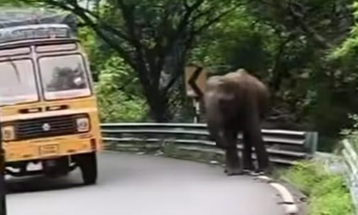 வாகனங்களை வழிமறித்து வாகன ஓட்டிகளை அச்சுறுத்திய ஒற்றை யானையால் பரபரப்பு