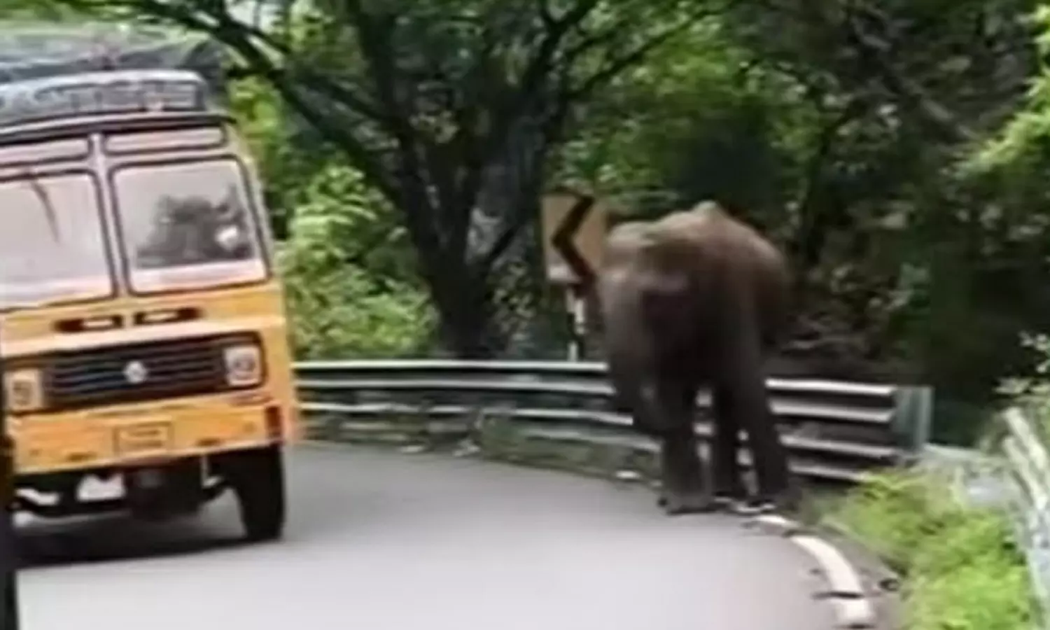 வாகனங்களை வழிமறித்து வாகன ஓட்டிகளை அச்சுறுத்திய ஒற்றை யானையால் பரபரப்பு