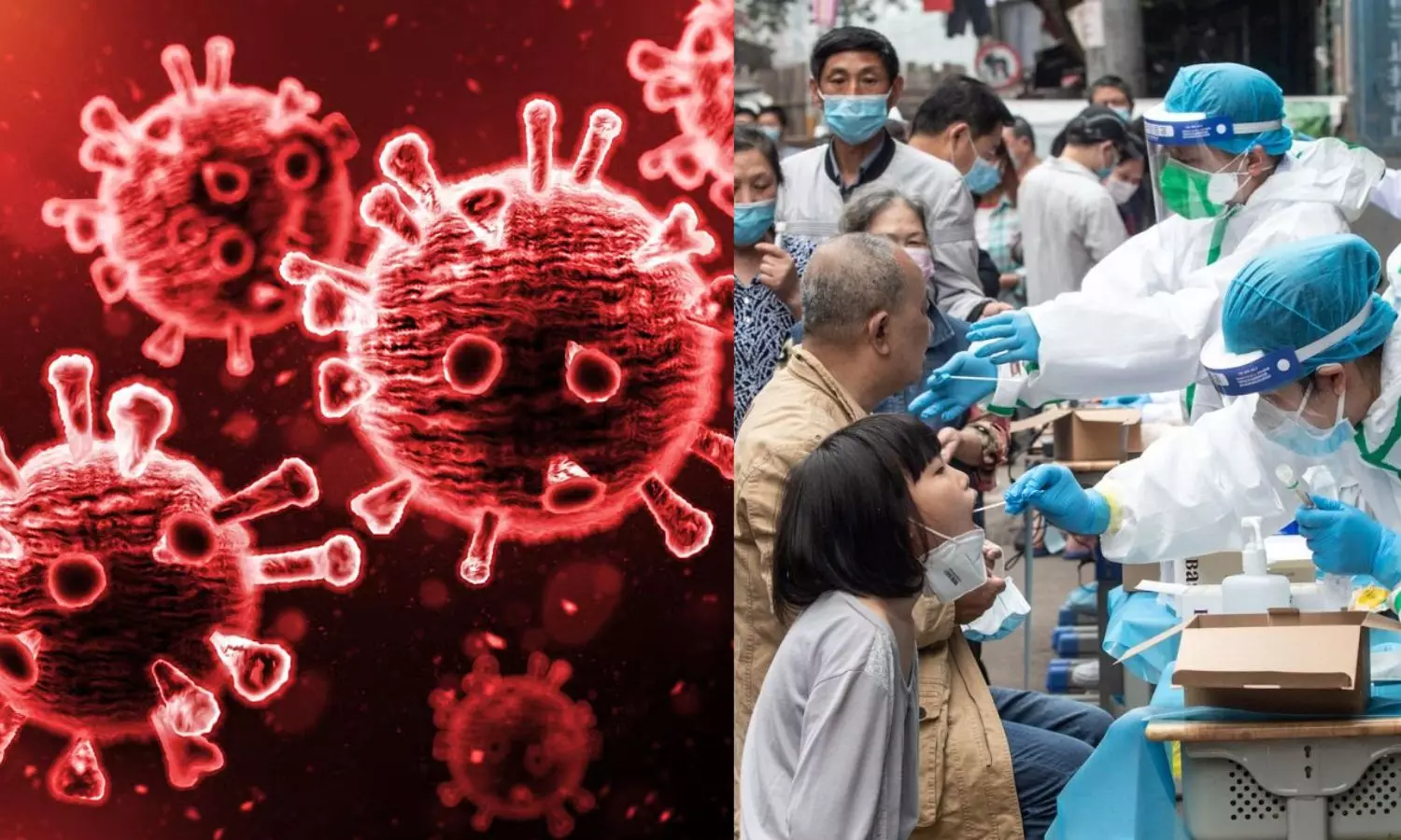 HKU5: அடுத்த பெருந்தொற்றுக்கு தயாராகுங்கள்.. பீதியை கிளப்பும் வௌவால் வைரஸ் - விஞ்ஞானிகள் எச்சரிக்கை