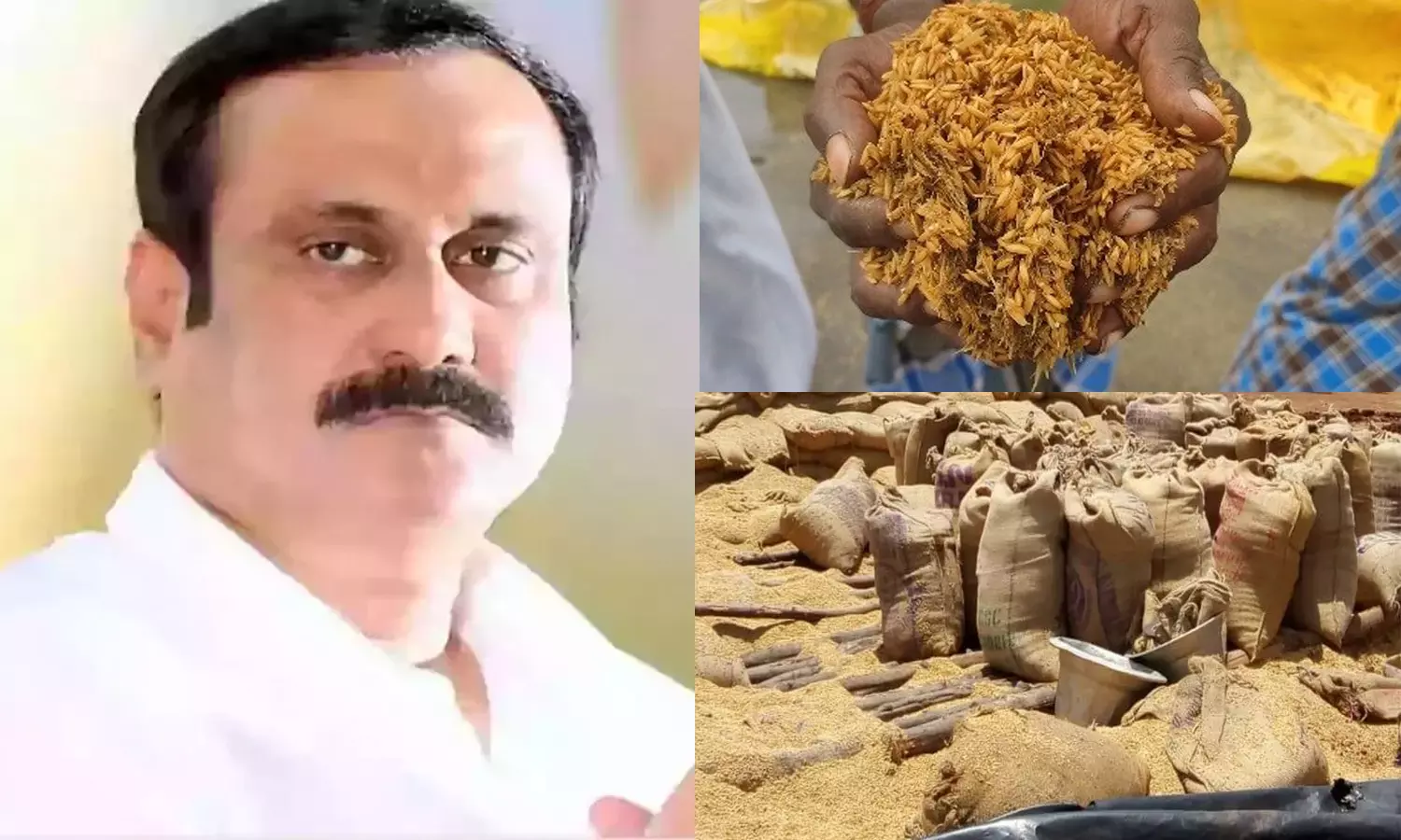 5 ஆண்டுகளில் ரூ.840 கோடி மதிப்புள்ள நெல் சேதம்: தி.மு.க. அரசே பொறுப்பேற்க வேண்டும் - அன்புமணி 5 ஆண்டுகளில் ரூ.840 கோடி மதிப்புள்ள நெல் சேதம்: தி.மு.க. அரசே பொறுப்பேற்க வேண்டும் - அன்புமணி