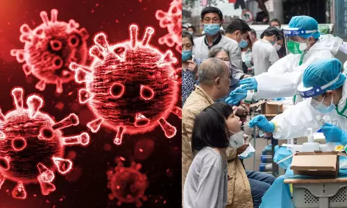 HKU5: அடுத்த பெருந்தொற்றுக்கு தயாராகுங்கள்.. பீதியை கிளப்பும் வௌவால் வைரஸ் - விஞ்ஞானிகள் எச்சரிக்கை