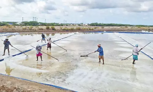 வெயில் தாக்கம் அதிகரிப்பு: வேதாரண்யத்தில் உப்பு உற்பத்தி பணி தீவிரம்