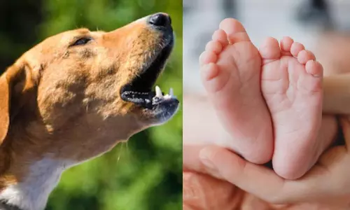 ம.பி. அரசு மருத்துவமனையில் பிறந்த குழந்தையின் சடலத்தை நாய் கவ்விச் சென்ற அவலம்