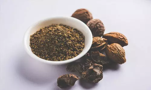 கடுக்காயின் நன்மைகள்