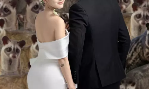 மகளுக்கு 100 பூனைக் குட்டிகளை வரதட்சணையாக வழங்கிய பெற்றோர்.. காரணத்தை கேட்டால் அசந்துருவீங்க!