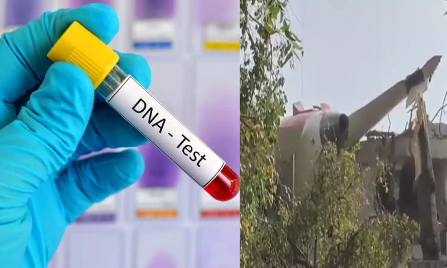 விமான விபத்தில் உயிரிழந்தவர்களை அடையாளம் காண டி.என்.ஏ. பரிசோதனைக்கு ஏற்பாடு