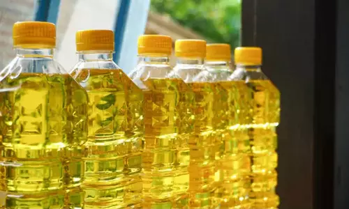 சுங்கவரி குறைப்பு... சூரியகாந்தி எண்ணெய், பாமாயில் விலை குறைய வாய்ப்பு