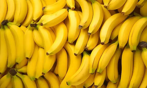 எந்த வாழைப்பழம் எந்த நோயை குணமாக்கும்….