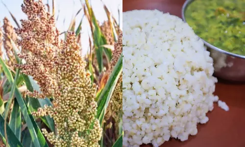 மலச்சிக்கலைப் போக்கும் சோளச் சோறு