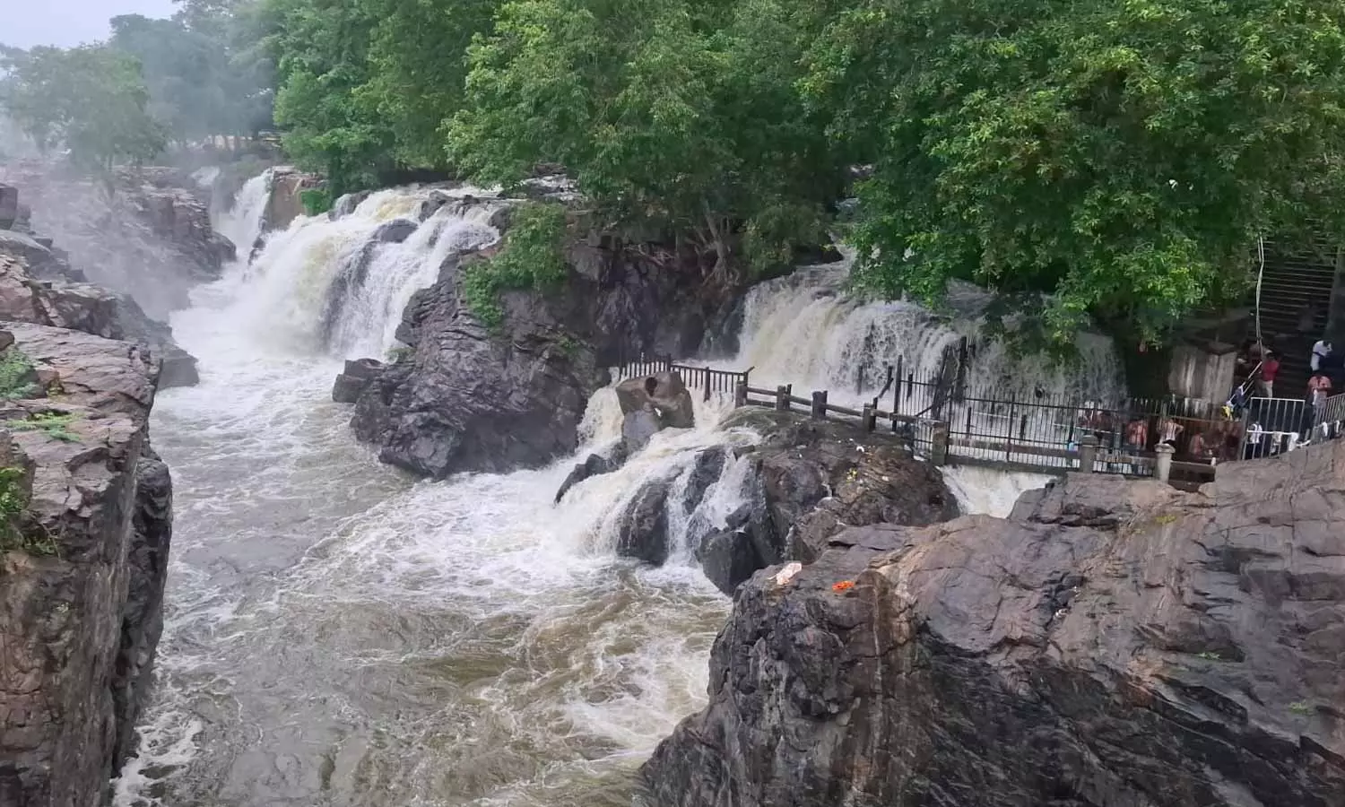 ஒகேனக்கல்லுக்கு நீர்வரத்து 6,500 கனஅடியாக குறைந்தது ஒகேனக்கல்லுக்கு நீர்வரத்து 6,500 கனஅடியாக குறைந்தது