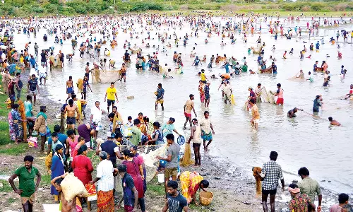 மேலூர் அருகே திருவாதவூரில் ஆயிரக்கணக்கானோர் பங்கேற்ற சமத்துவ மீன்பிடி திருவிழா