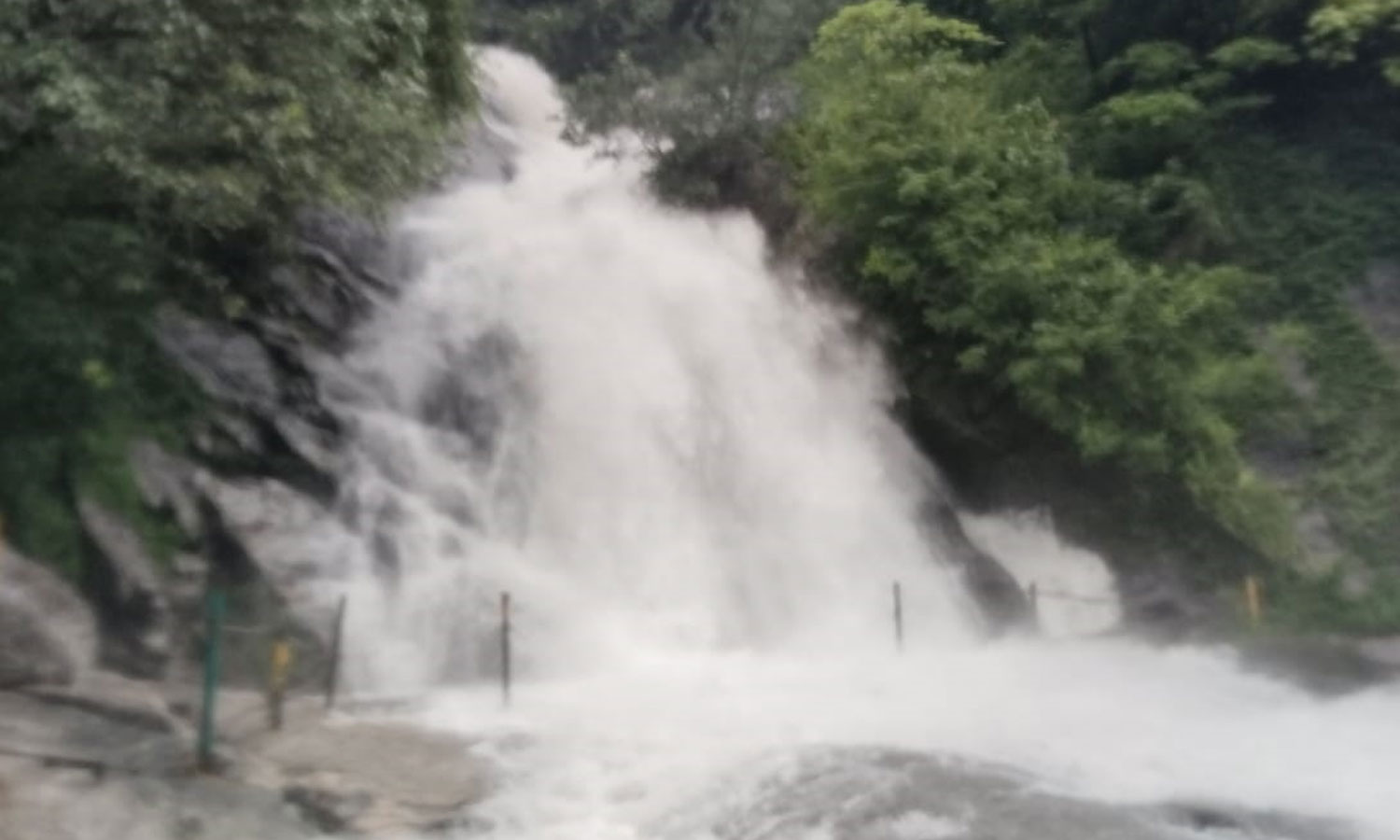 கோவை மாவட்டத்தில் அணைகளில் நீர்மட்டம் கிடுகிடு உயர்வு- குற்றாலம், கவியருவியில் வெள்ளப்பெருக்கு