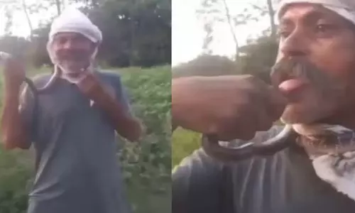 முத்தமிட முயன்ற விவசாயியின் நாக்கில் கடித்த பாம்பு- ரீல்ஸ் எடுத்தவருக்கு நேர்ந்த பரிதாபம்