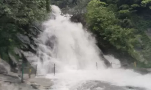 கோவை மாவட்டத்தில் அணைகளில் நீர்மட்டம் கிடுகிடு உயர்வு- குற்றாலம், கவியருவியில் வெள்ளப்பெருக்கு