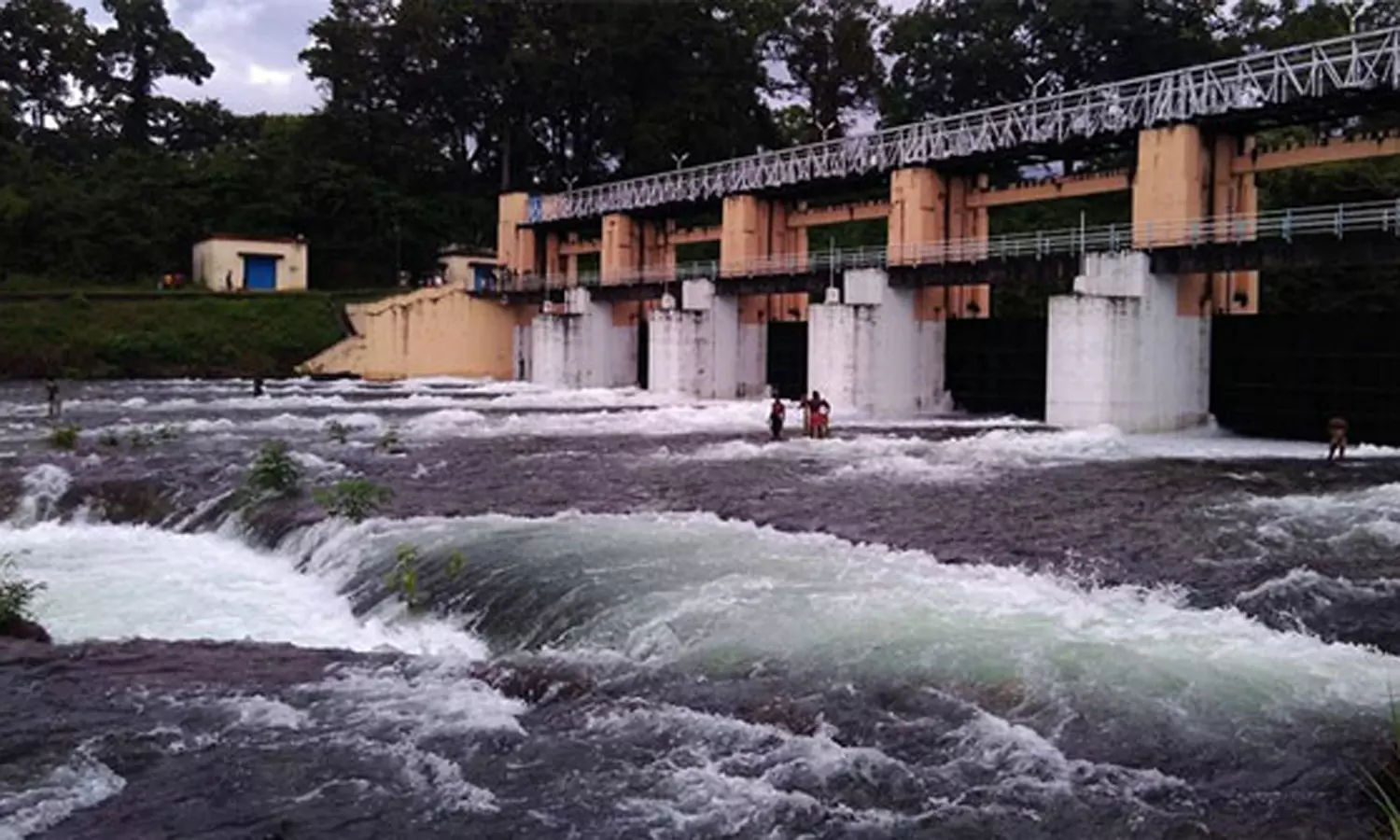 பேச்சிப்பாறை-பெருஞ்சாணி அணைகளுக்கு நீர்வரத்து குறைந்தது - திற்பரப்பில் குளிக்க தடை நீடிப்பு பேச்சிப்பாறை-பெருஞ்சாணி அணைகளுக்கு நீர்வரத்து குறைந்தது - திற்பரப்பில் குளிக்க தடை நீடிப்பு