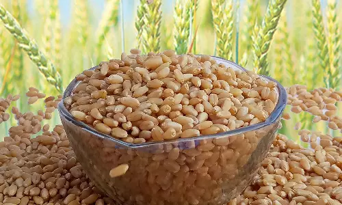 கோதுமை உணவின் வரலாறு