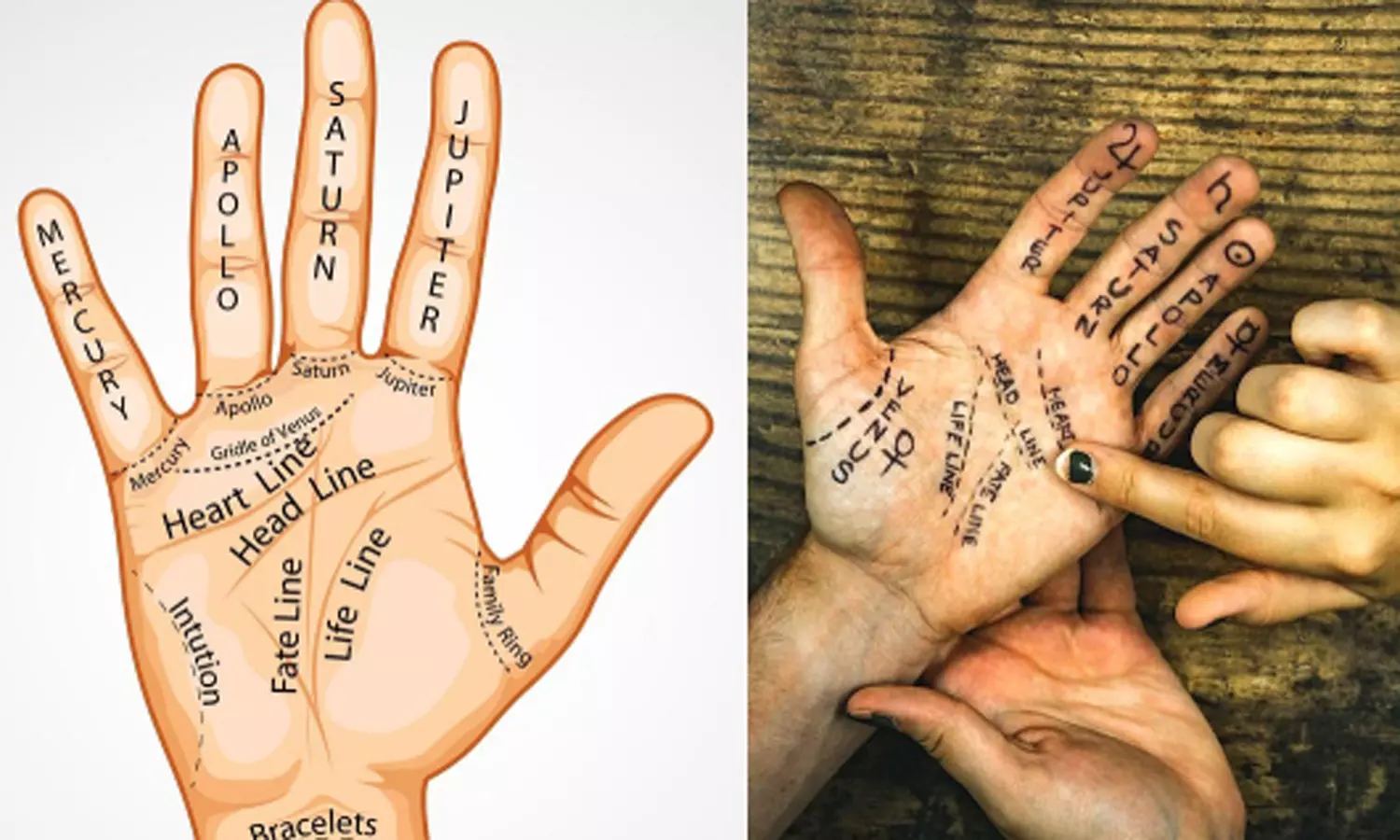 கைகளில் உள்ள கிரக மேடுகளின் குணங்கள் கைகளில் உள்ள கிரக மேடுகளின் குணங்கள்