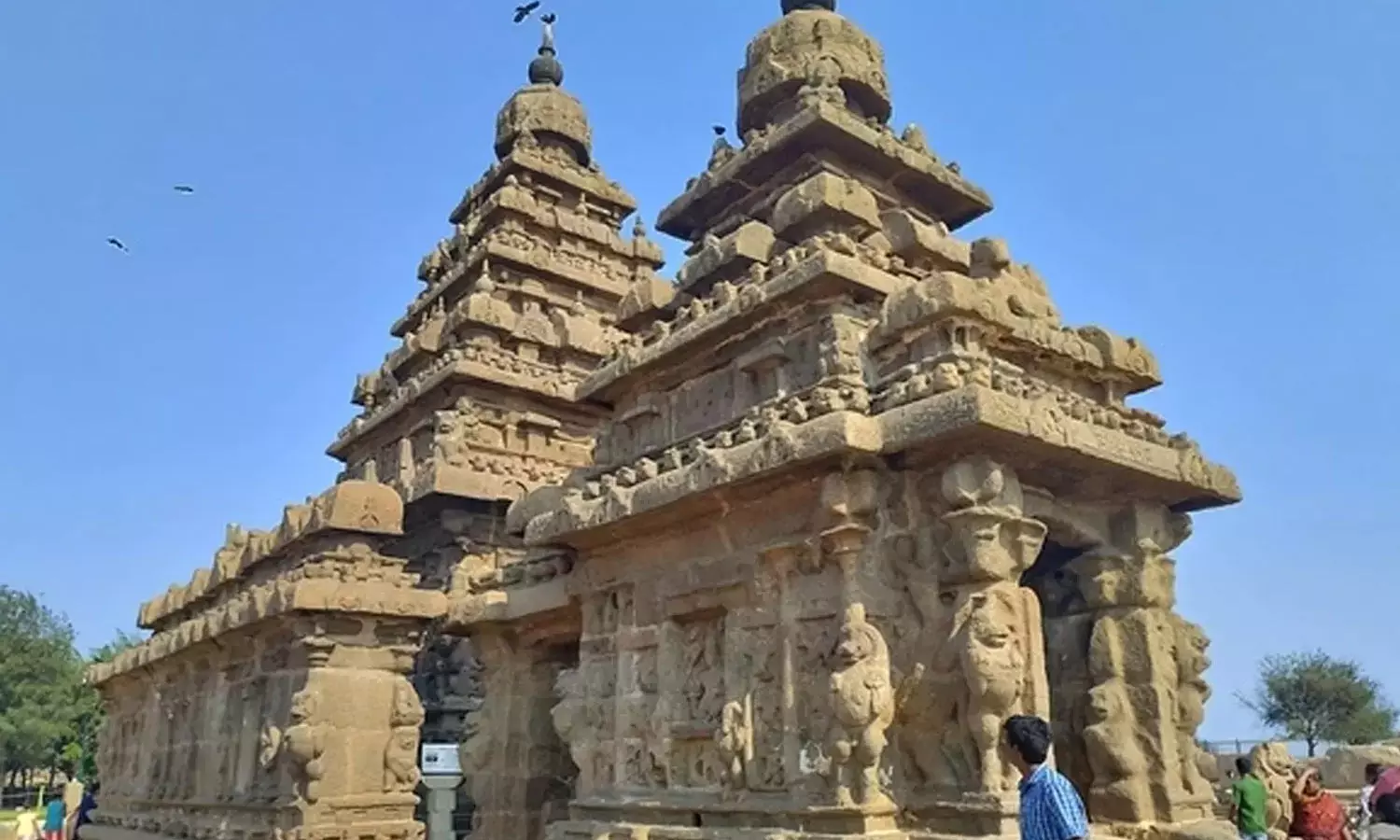 சர்வதேச யோகா தினம்: மாமல்லபுரத்தில் இன்று அனுமதி இலவசம் சர்வதேச யோகா தினம்: மாமல்லபுரத்தில் இன்று அனுமதி இலவசம்